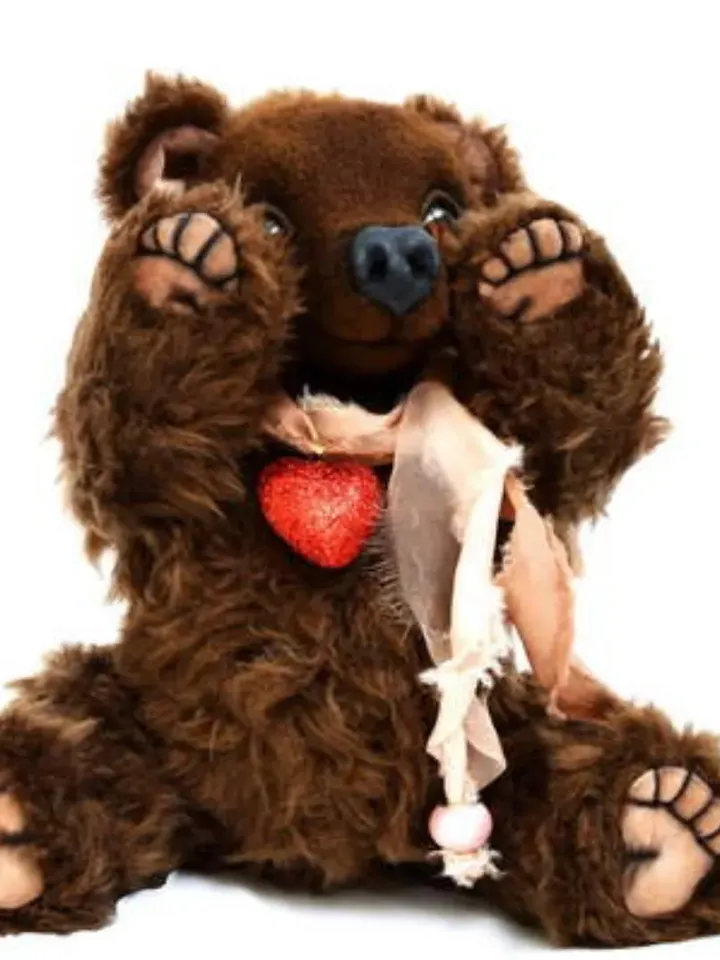 TEDDY BEAR Pattern - Figure stuffed animal, Pattern PDF-Teddy bear, Teddy bear , Animal Pattern, Bear Pattern