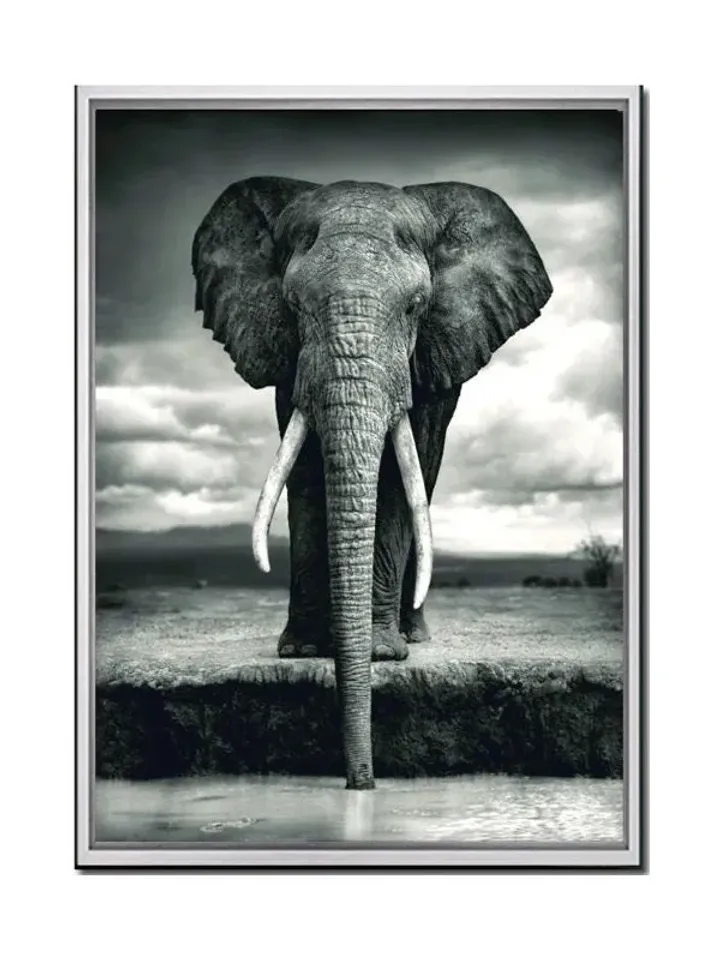 Elephant Print on Canvas , Floating Frame Option, Modern Wall Art, Extra Large Canvas Wall Art