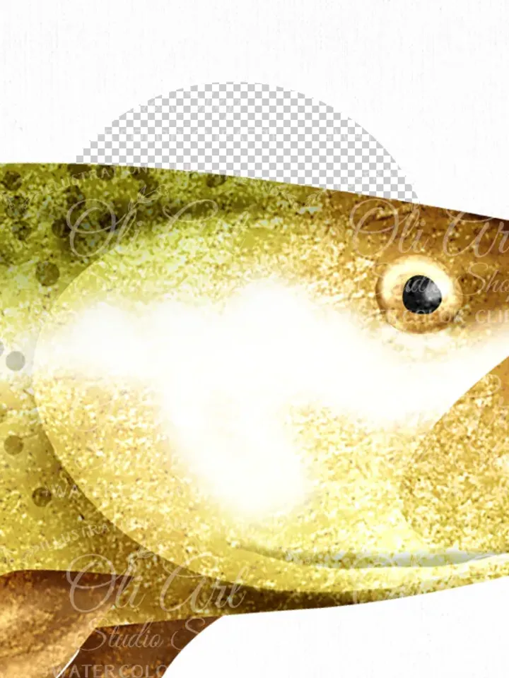 Fishing Clip Art. Camping Graphics, Hand Drawn graphics. Digital Download. OliArtStudioShop