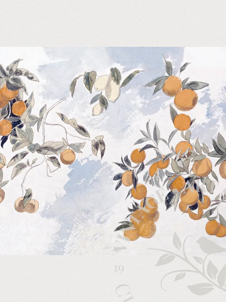 Lemon Tree Watercolor Vintage Wall Art Print, Large Lemon Painting, Printable Digital Downloadable Wall Decor | 197