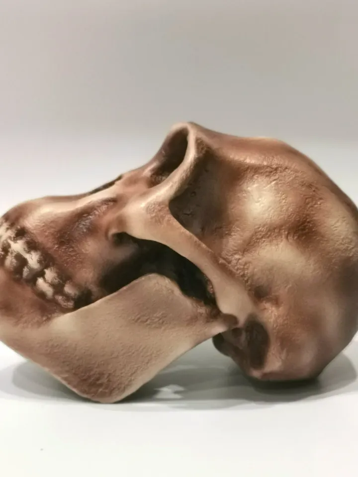 Australopithecus africanus Skull Replica, Full-size 3d printed Hominid Skull, Museum Quality Anthropology Model, Real Fossil Scan