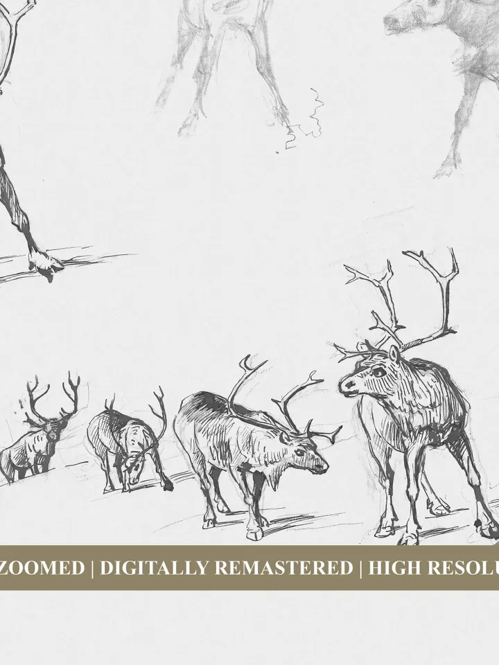 Vintage Christmas Reindeer Sketch Art Print, Digital Winter Wall Decor, Printable | 305