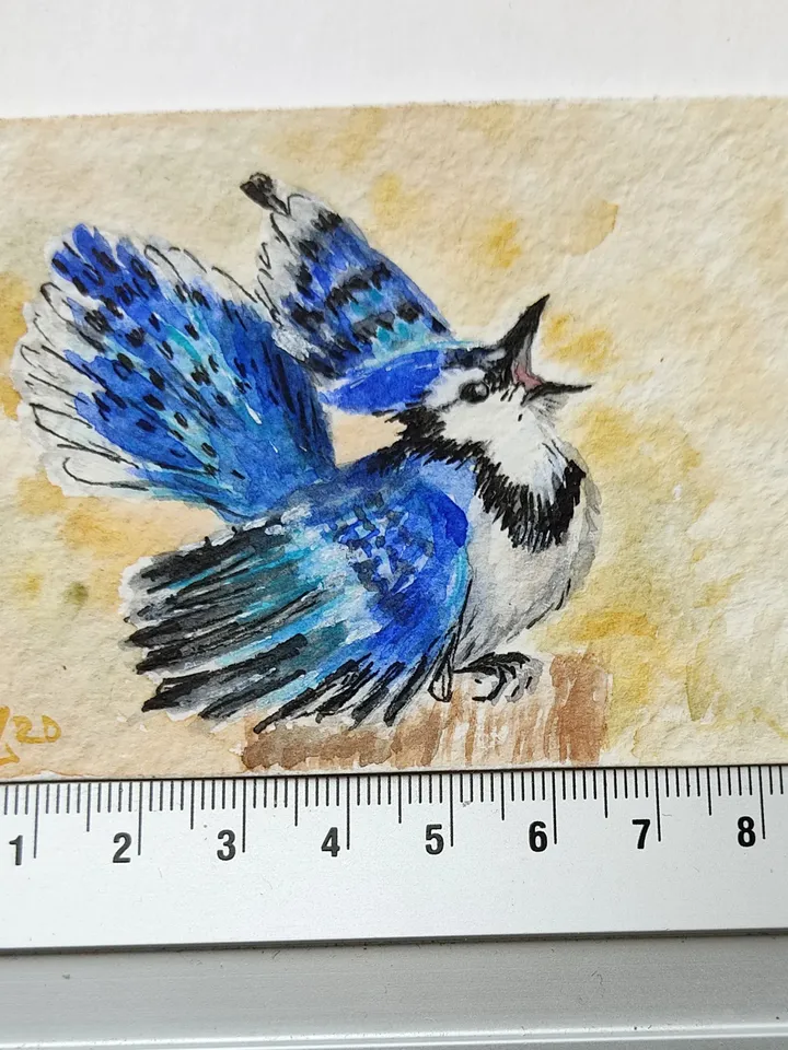 Blue jay Original Watercolor Art ACEO bird Miniature Artwork painting
