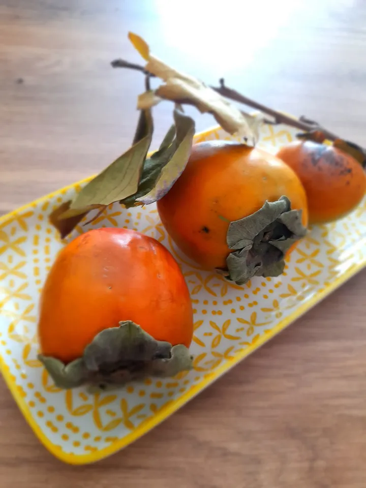 Organic Dried Persimmon Slices | Natural Dry Hoshigaki Slices | Sun Dried Heaven Fruit | Japanese Dried Persimmons | Fast Fedex Shipping