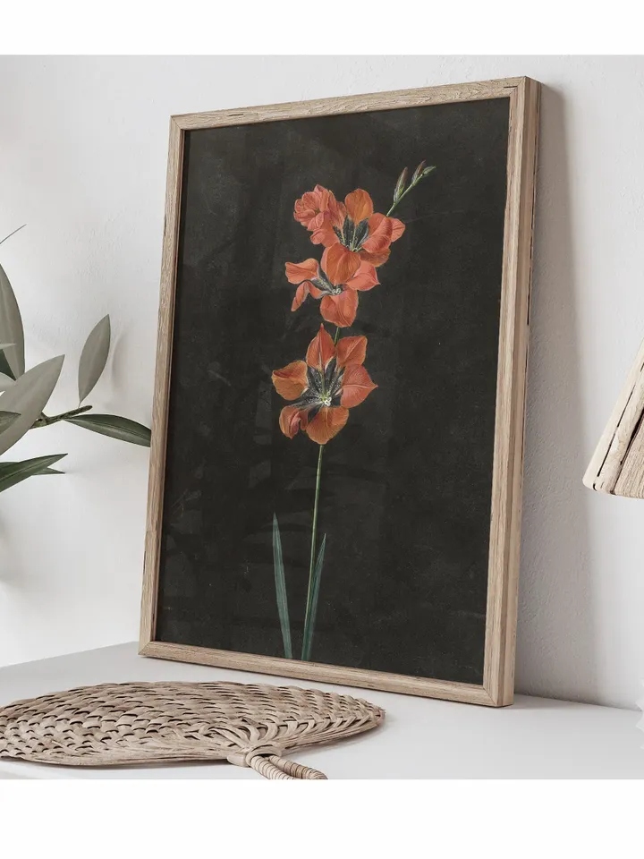 Red Lily Flower on Dark, Vintage Still Life Printable Wall Art Decor, Digital Download | 343