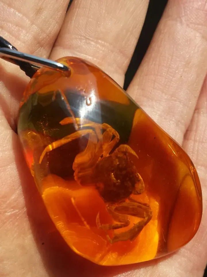 Real Crab in Amber Resin Cancer Pendant Necklace Amulet necklace Animal jewelry gift children birthday gift cancer