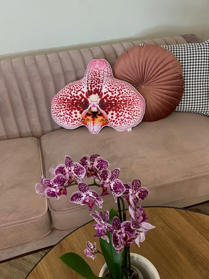 Orchid pillow / orchids / plant pillow / Phalaenopsis / Orchidaceae / orchidée / flower houseplant / plant lover/ flower decor