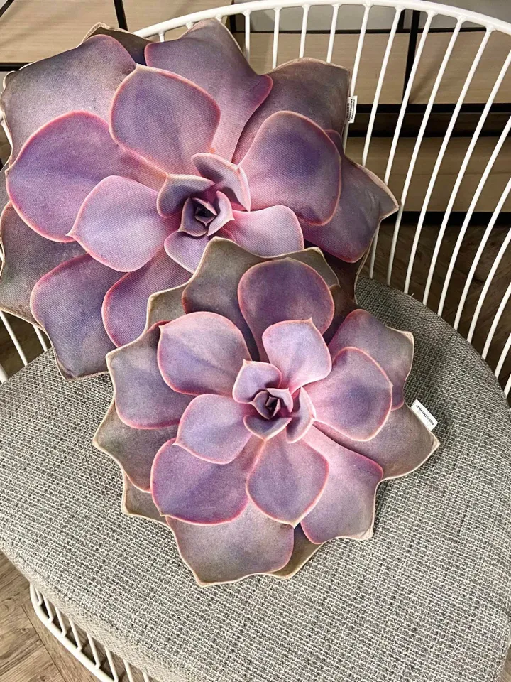 small Succulent pillow /  echeveria pillow / Perle von Nürnberg succulent / succulent cushion / plant pillow / purple succulent