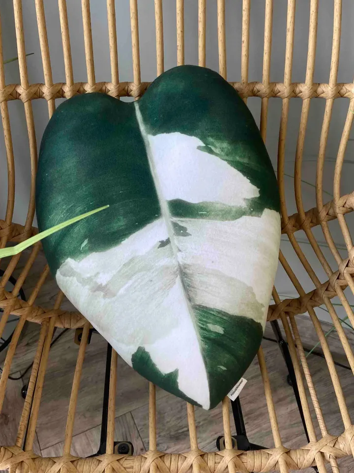 Philodendron White Princess pillow / Philodendron pillow /  philodendron leaf cushion / rare plant pillow / plant lover gift