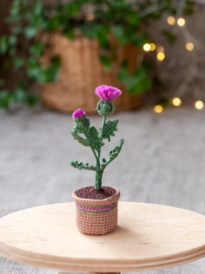 Crochet THISTLE in a pot, Scottish Thistle flowers, Fairy garden miniature, Flower present, Thank you gift, Meaning gift