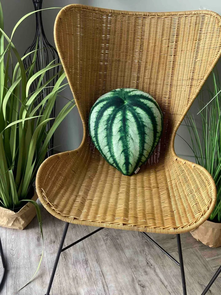 Peperomia watermelon pillow / peperomia argyreia pillow/ plant pillow / leaf pillow / plant gift / urban jungle / houseplants