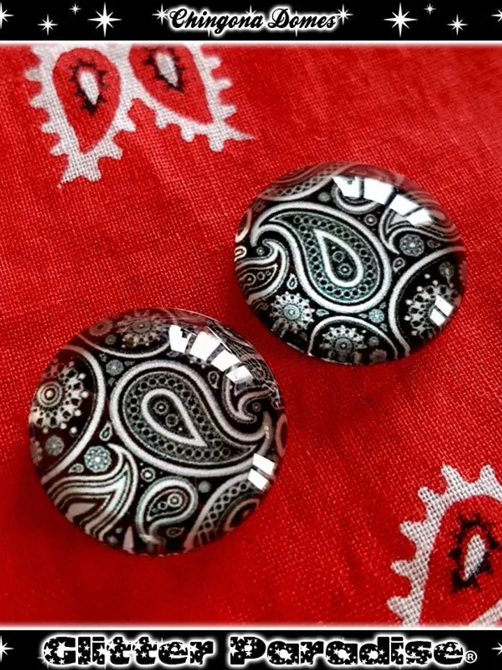 Chingona Dômes - Earrings - Dômes - Paisley - Paisley Earrings - Latina Earrings - Latina Jewelry - Paisley Jewelry - Glitter Paradise®