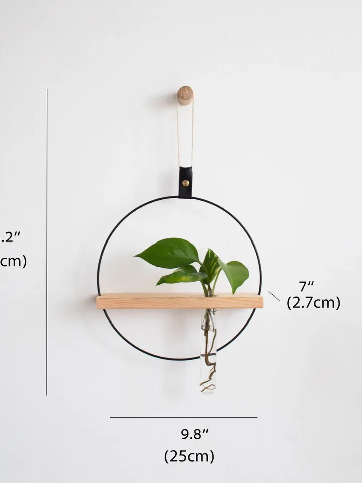 Plant Propagation Wall Hanging, Propagation Station Wall Hanging, Test Tube Plant Holder, Wall Propagation Planter, Propagation Shelf