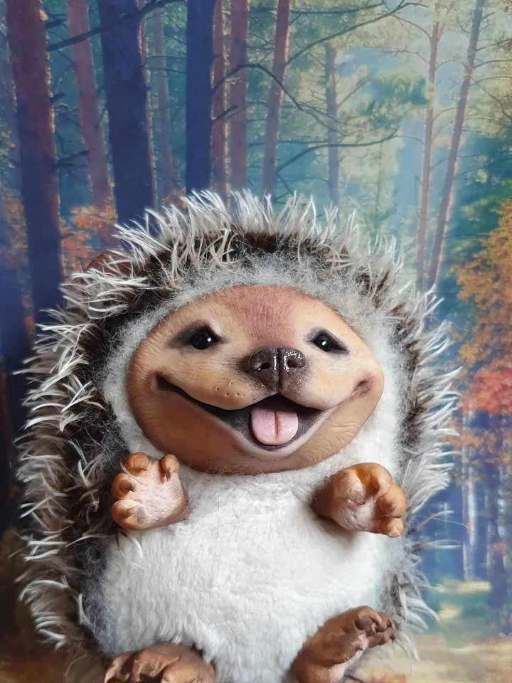Hedgehog. Cute hedgehog on the back. A gift for a lover of hedgehogs. The most beautiful hedgehog