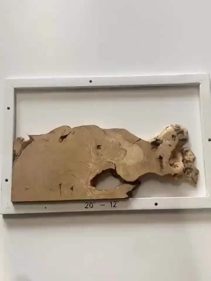 Olive Wood Cookies, Epoxy Resin Wood, Live Edge Wood Slab, Raw Edge Wood Slab, READY TO SHIP