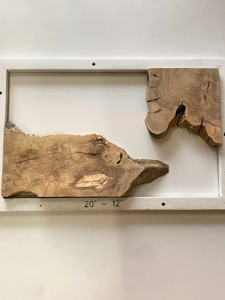 Olive Wood Cookies, Epoxy Resin Wood, Live Edge Wood Slab, Raw Edge Wood Slab, READY TO SHIP
