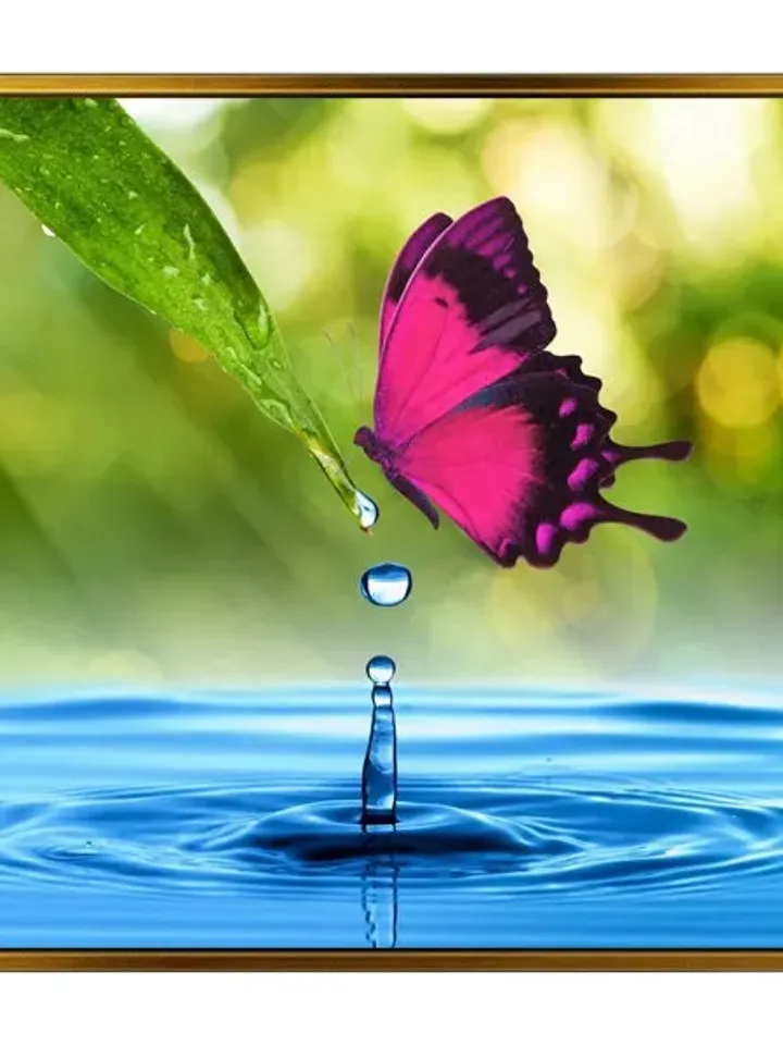 Butterfly Print on Canvas , Floating Frame Option, Modern Wall Art, Extra Large Canvas Wall Art