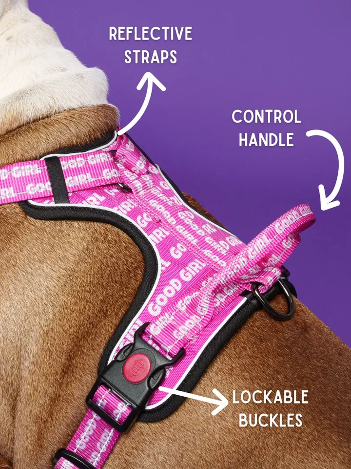 Dog Harness Girl, Pink Dog Harness With Handle