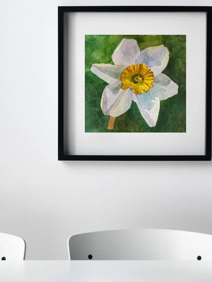 Blooming Daffodil original painting watercolor art botanical artwork wall art