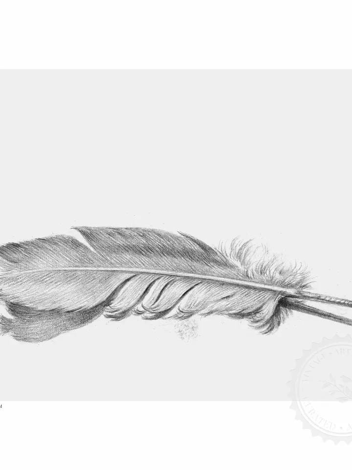 Feather Art Minimalist Sketch, Vintage Neutral Printable Wall Decor, Digital Download | 355