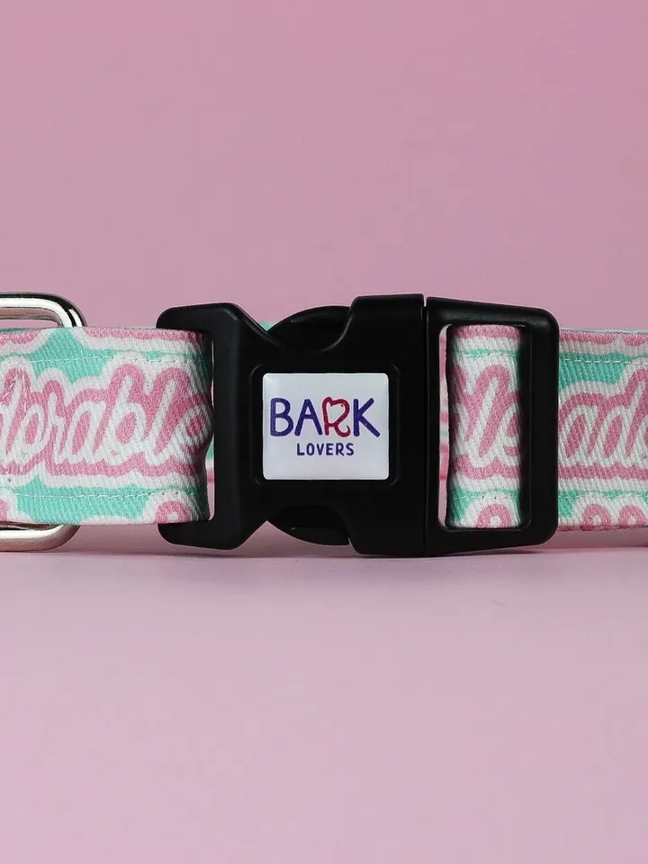 Adorable Pink and Blue Dog Collar, XL Pet Collar