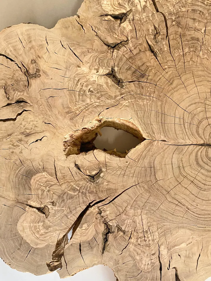 Olive Wood Slab, 20"x19"x"2.1 Live Edge Wood Slab, Epoxy Resin Wood, Burl Wood, Tree Slice, Natural Wood Slab, READY TO SHIP