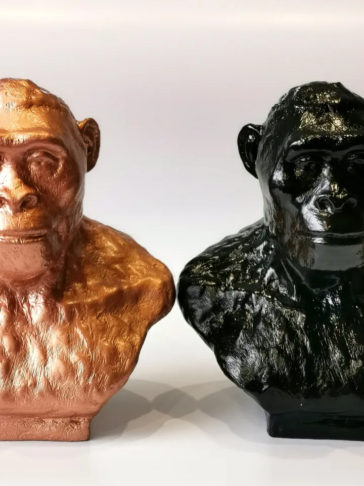 Australopithecus Africanus Bust, 3d printed Australopithecus Afar Sculptural Reconstruction, Museum Quality Anthropology Model for Study