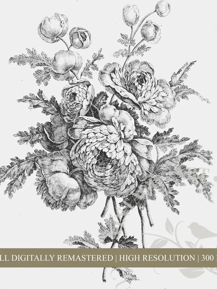 Botanical Print Set of 2 Sketches, Vintage Prints Neutral Floral Art, Large PRINTABLE Antique Farmhouse Decor, Downloadable | 190