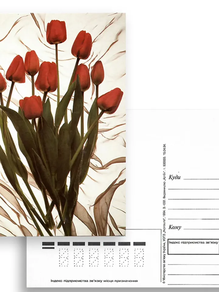 Set of 8 vintage postcards with flower arrangements, the 90s. Daisies, roses, tulips, orchids, and lilies are on the postcards