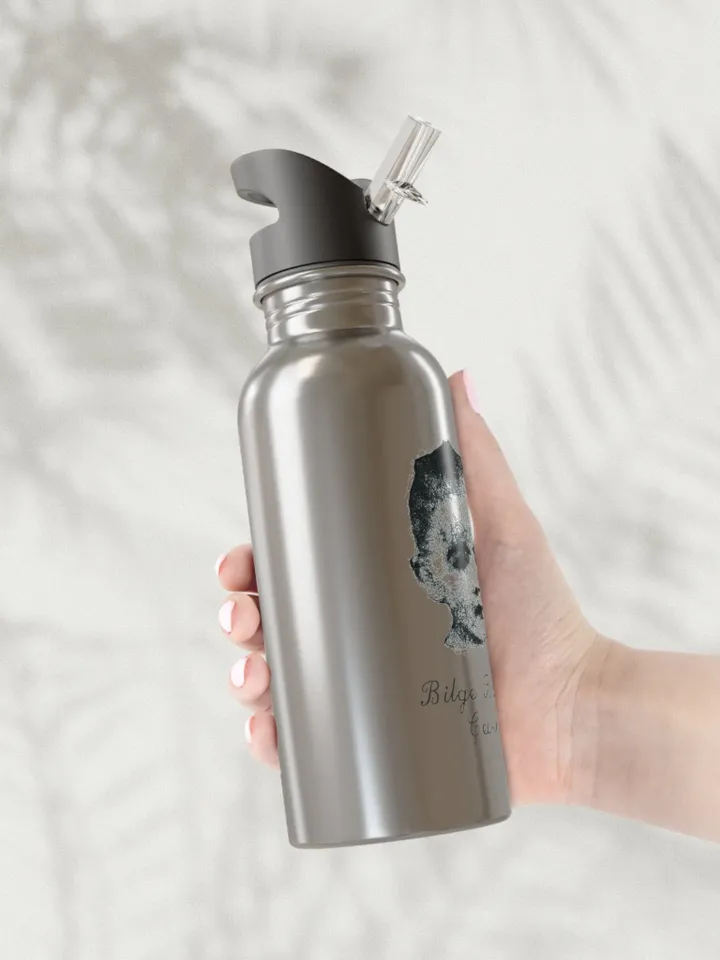 Customizable Stainless Steel Water Bottle With Straw, 20oz