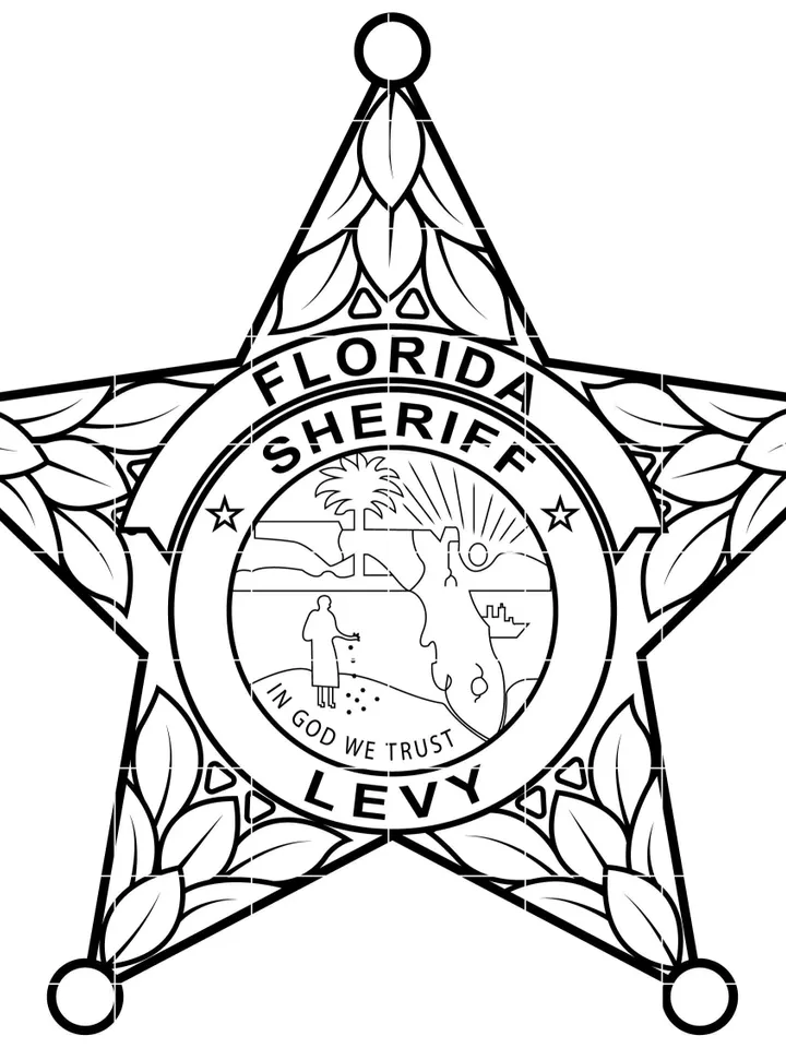 Sheriff Badge, Levy County, State of Florida Sheriff Badge, Logo, Seal, Custom, Ai, Vector, SVG, DXF, PNG, Digital