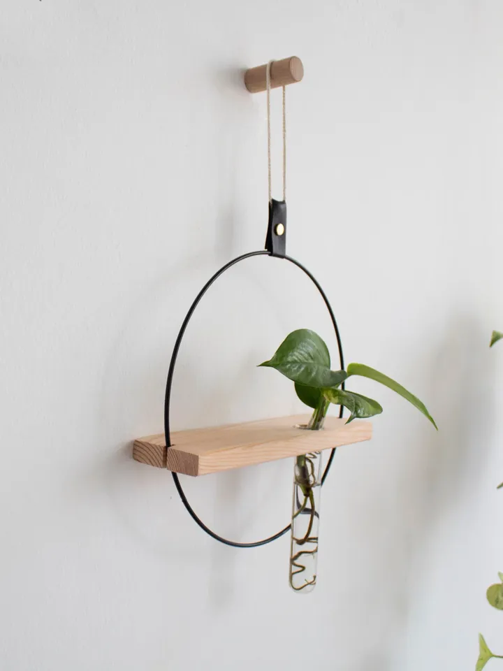 Plant Propagation Wall Hanging, Propagation Station Wall Hanging, Test Tube Plant Holder, Wall Propagation Planter, Propagation Shelf