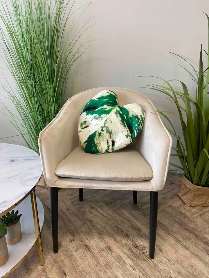 Variegated Monstera pillow / monstera leaf pillow / monstera variegata plant / albo monstera / variegata monstera cushion / plant pillow