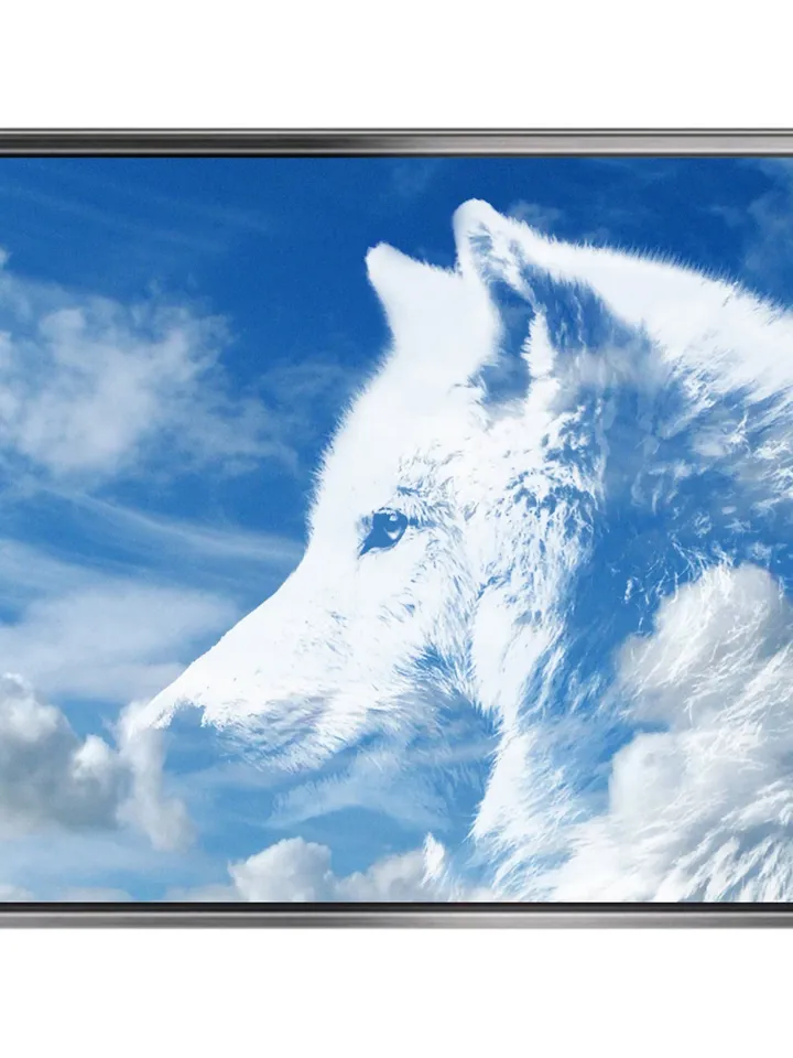 White wolf  Print on Canvas , Floating Frame Option, Modern Wall Art, Extra Large Canvas Wall Art
