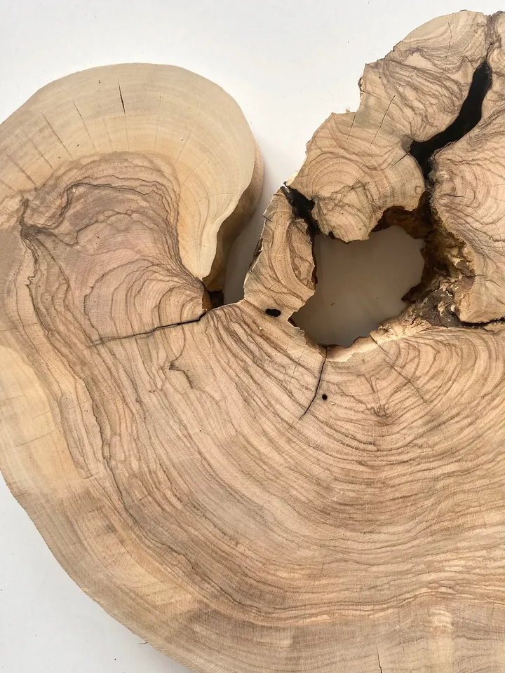 Live Edge Olive Wood Slab, 16x10x1.6 Tree Slice, Epoxy Resin Wood, DIY Wood Art, Wood Burl