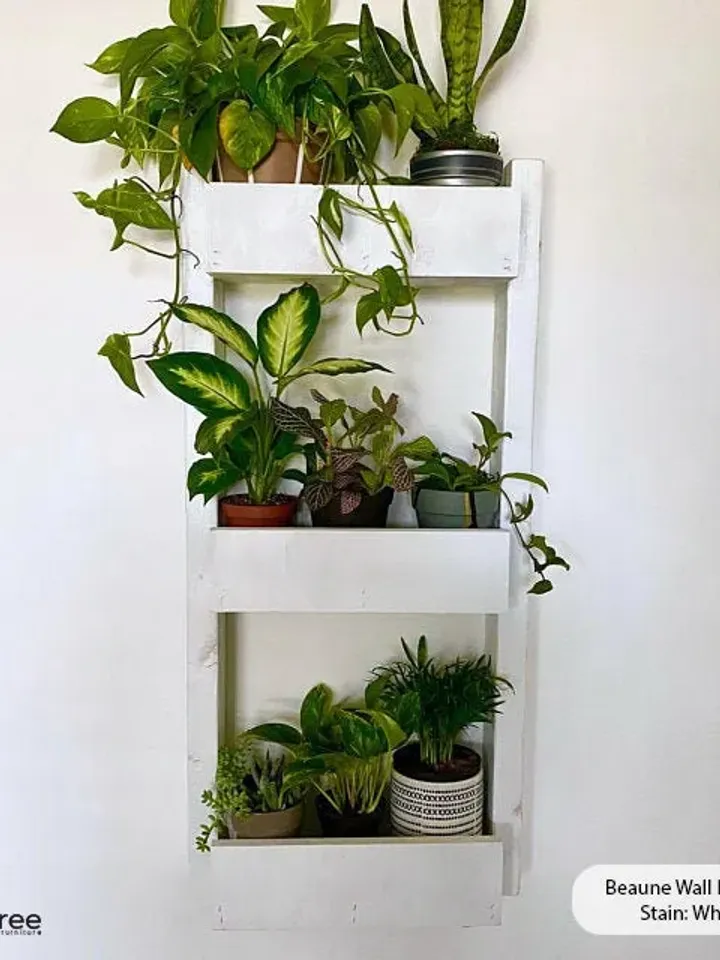 Beaune Wall Planter - Plant Pots Now Available - Hanging Planter | Shelf Planter | Hanging Shelves | Wall Outdoor or Indoor Planter