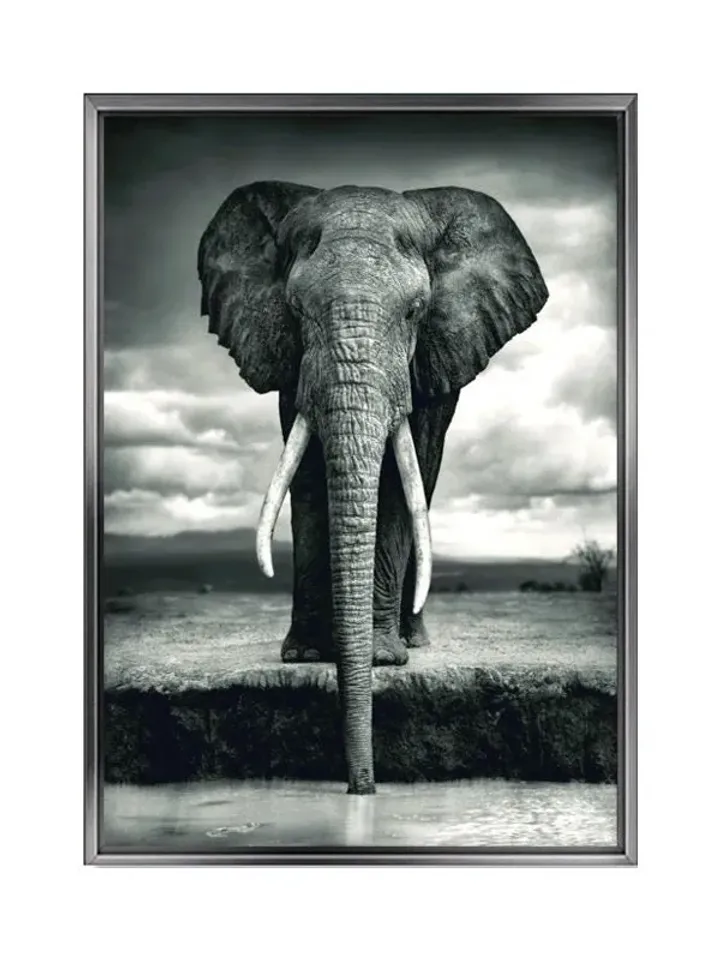 Elephant Print on Canvas , Floating Frame Option, Modern Wall Art, Extra Large Canvas Wall Art