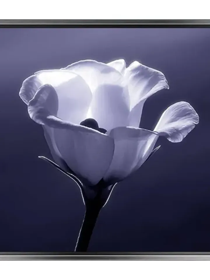 Flower Print on Canvas , Floating Frame Option, Modern Wall Art, Extra Large Canvas Wall Art