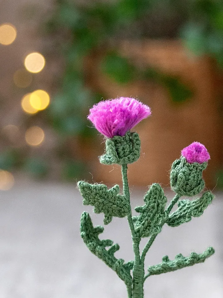 Crochet THISTLE in a pot, Scottish Thistle flowers, Fairy garden miniature, Flower present, Thank you gift, Meaning gift