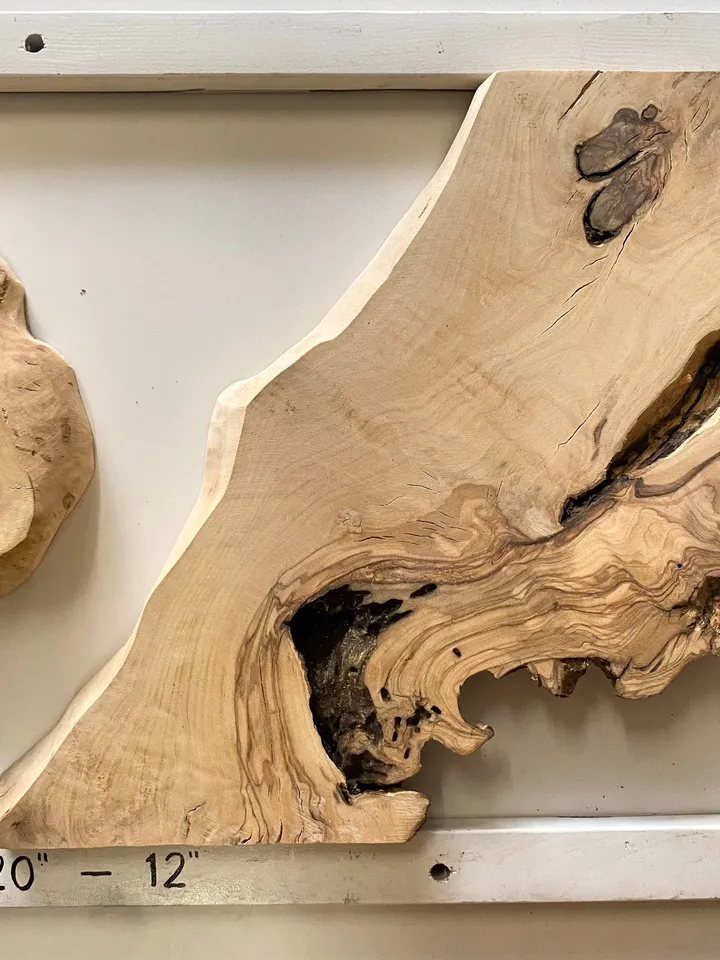 Olive Wood Cookies, Epoxy Resin Wood, Live Edge Wood Slab, Raw Edge Wood Slab, READY TO SHIP