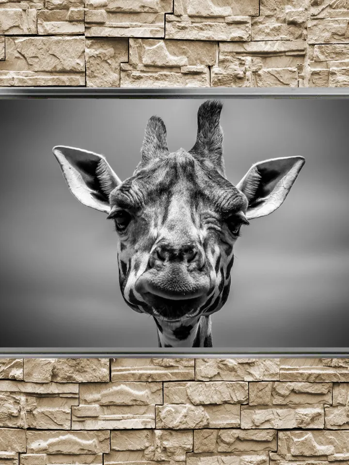 Giraffe Print on Canvas , Floating Frame Option, Modern Wall Art, Extra Large Canvas Wall Art