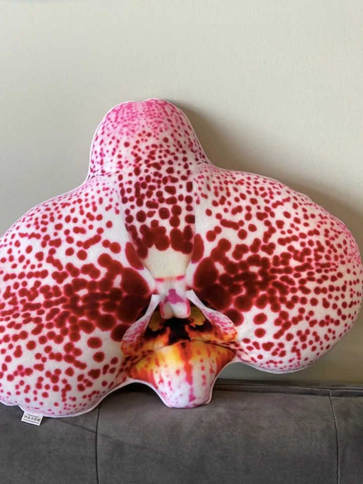 small Orchid pillow / orchids / flower pillow / Phalaenopsis / Orchidaceae / orchidée / flower houseplant / plant lover/ flower decor