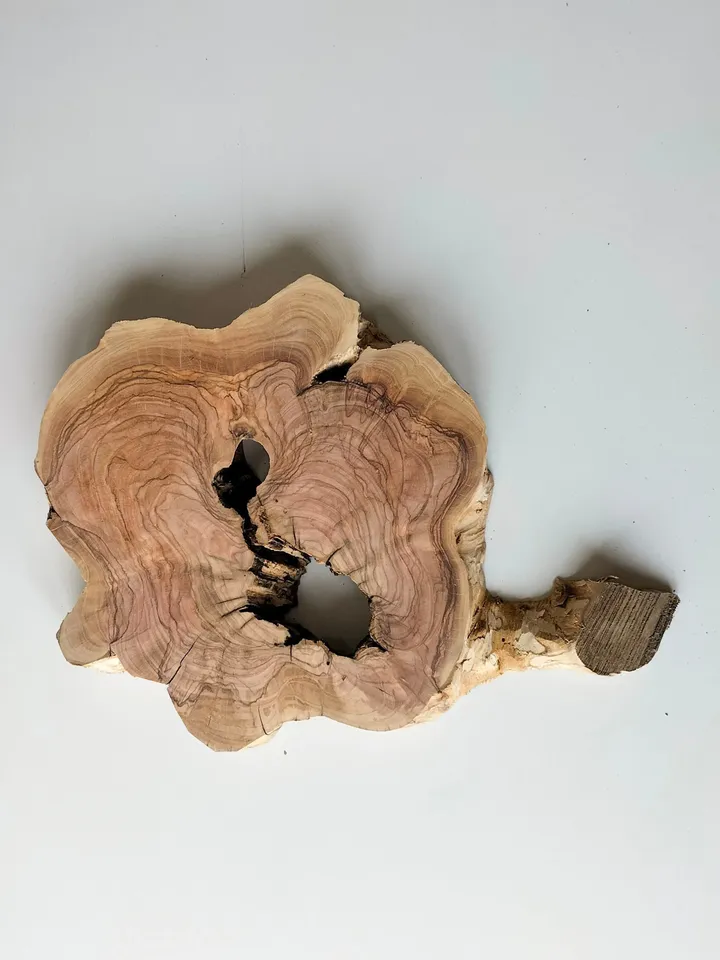 Olive Wood Slab, 15"x11"x1.6" Epoxy Resin Wood, Live Edge Wood Slab, Tree Slices, Burl Wood Slab, READY TO SHIP