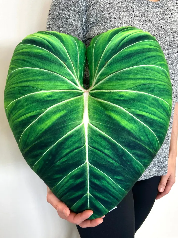 Philodendron Gloriosum pillow / gloriosum pillow / plant pillow / plant lover gift / plant decoration / gloriosum cushion / urban jungle