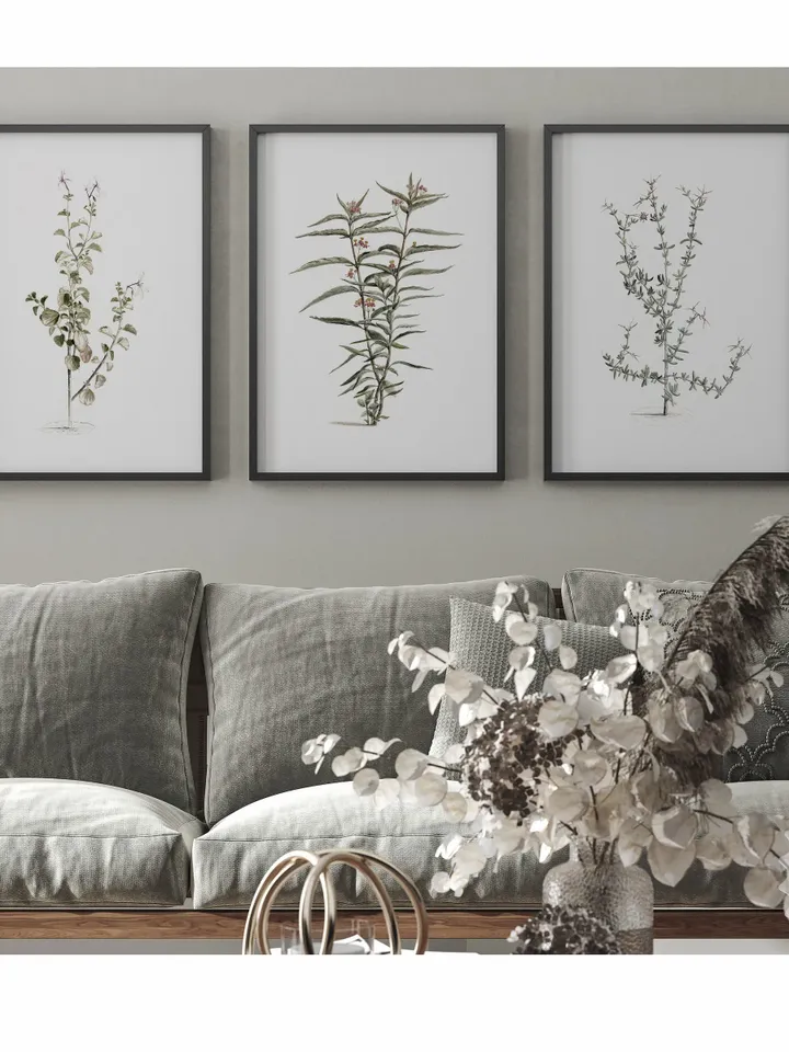 Antique Botanical Print Set of 3, Vintage Flower Painting, Printable Rustic Farmhouse Wall Art Decor | 397 S3