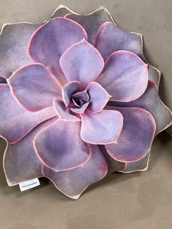 small Succulent pillow /  echeveria pillow / Perle von Nürnberg succulent / succulent cushion / plant pillow / purple succulent