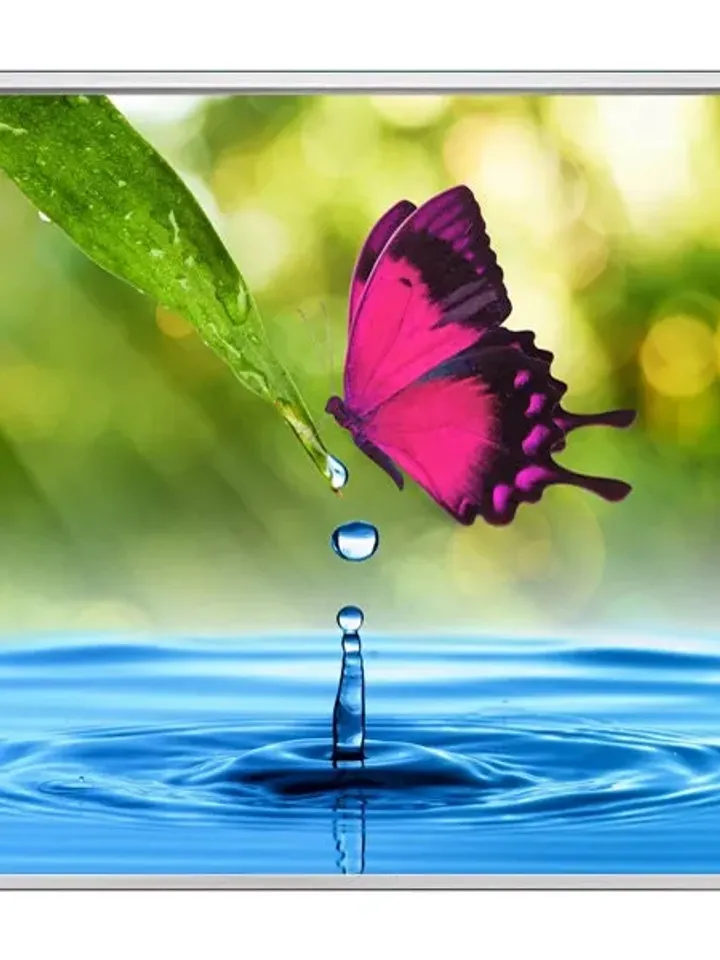 Butterfly Print on Canvas , Floating Frame Option, Modern Wall Art, Extra Large Canvas Wall Art