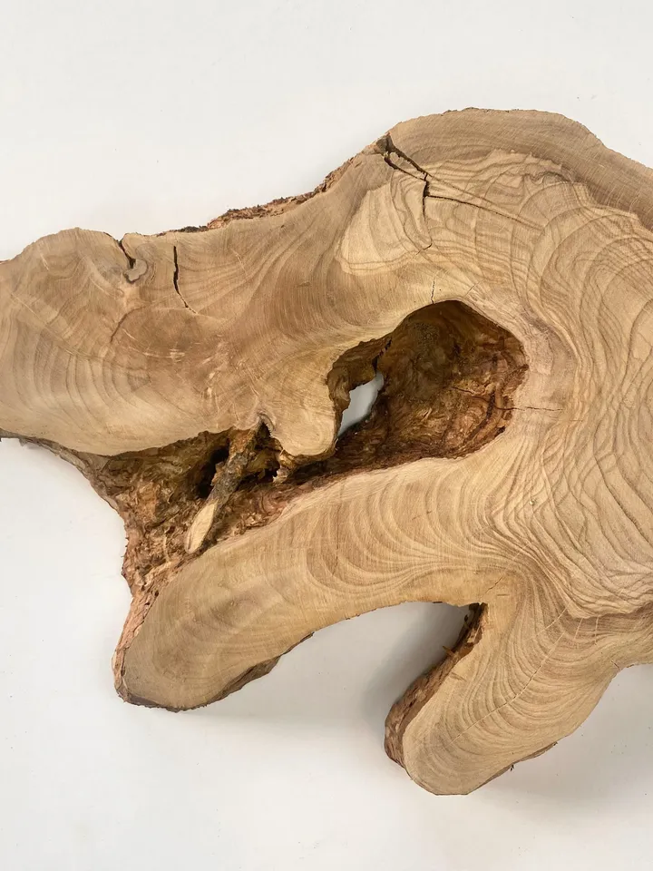 Live Edge Round Olive Wood Slab, 18"x9"x1.2" Epoxy Resin Wood, Burl Wood, Tree Slice