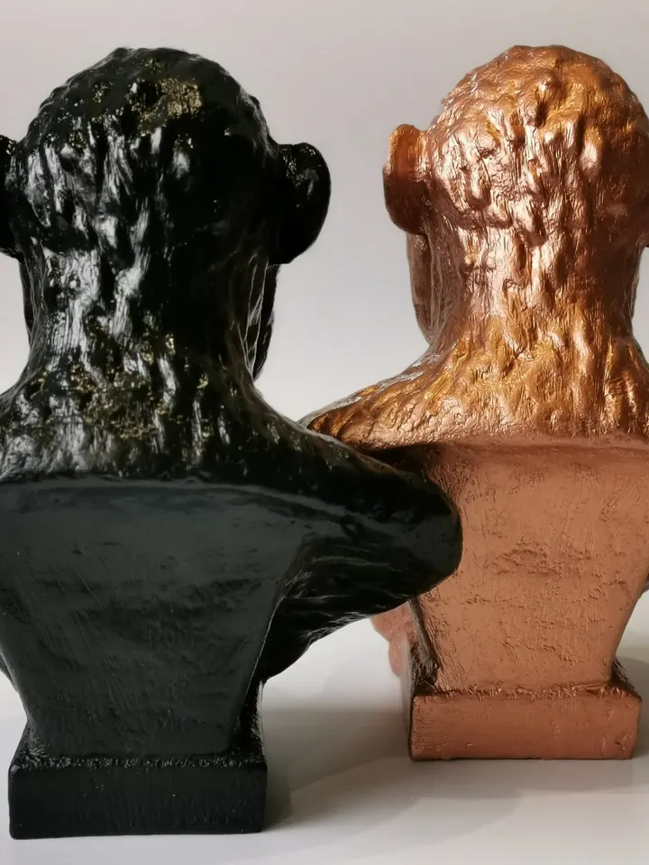 Australopithecus Africanus Bust, 3d printed Australopithecus Afar Sculptural Reconstruction, Museum Quality Anthropology Model for Study