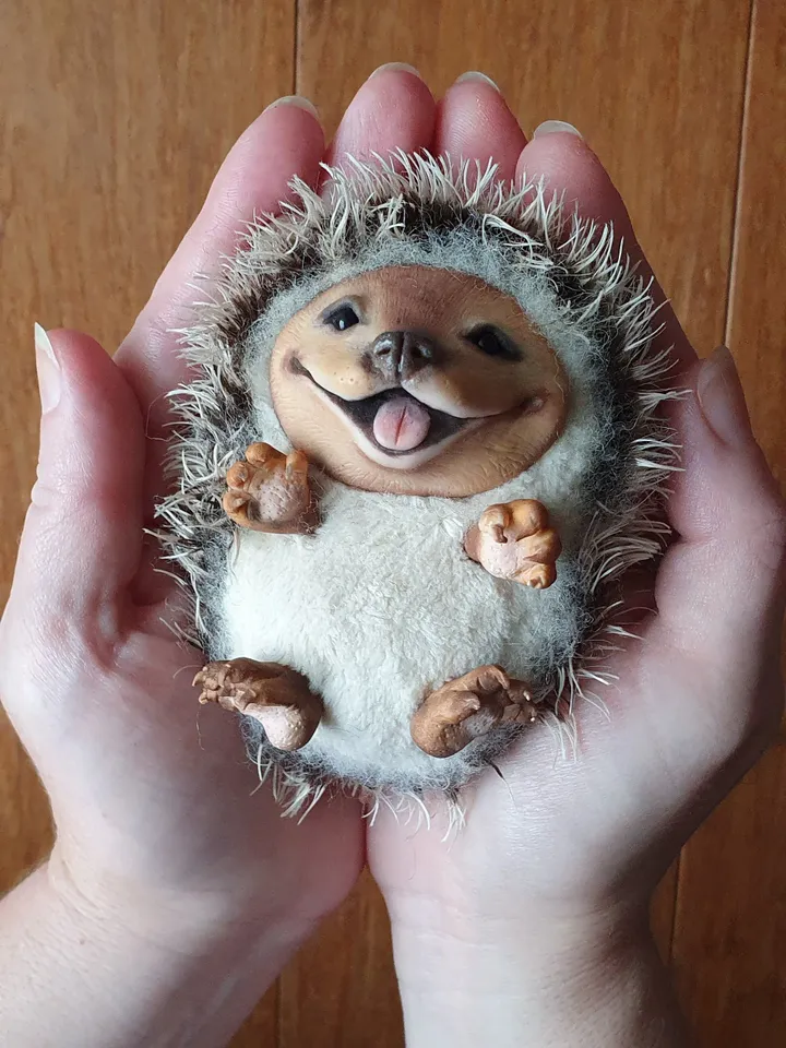 Hedgehog. Cute hedgehog on the back. A gift for a lover of hedgehogs. The most beautiful hedgehog